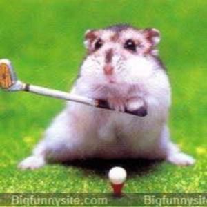 Meet your Posher, Ellen